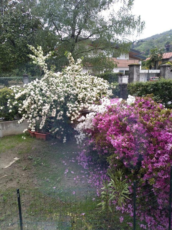 فيلا Casa Orisca لسا المظهر الخارجي الصورة